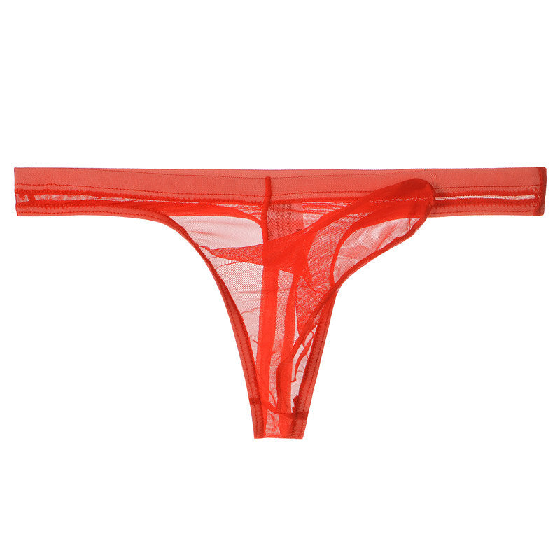 Ultra-thin mesh transparent thong