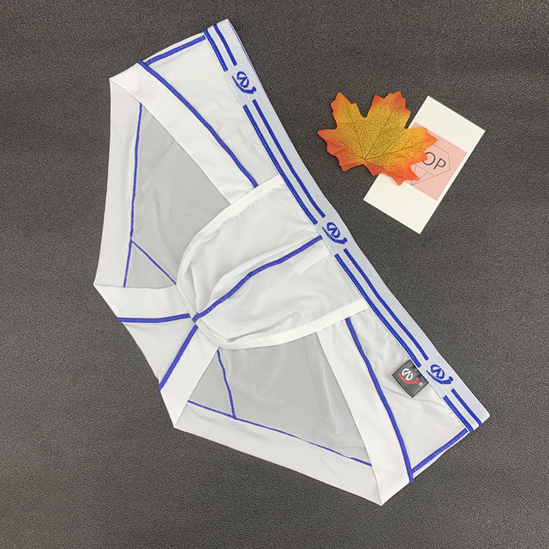 Men's Low Waist Breathable Ice Silk Sexy Fashion Stretch Briefs