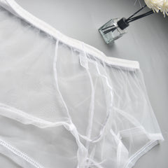 Men's Mesh See-through Boxer Briefs