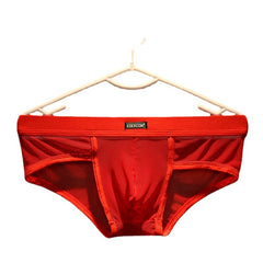 Men's Mesh Breathable Fashionable Sexy Briefs