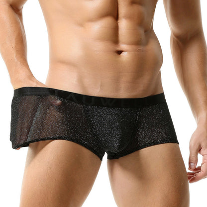 Men's New Low Waist Mesh Sexy See-through Nylon Boxer Briefs