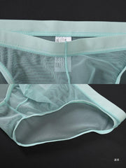 Men's Mesh Low Waist Sexy Ice Silk Briefs