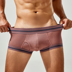 Men's Sexy Simple Comfortable Breathable Boxer Briefs