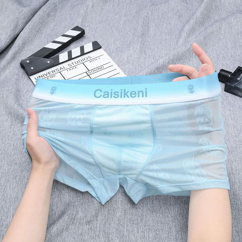 Men's Lace Sexy Mesh Transparent Ice Silk Boxer Briefs