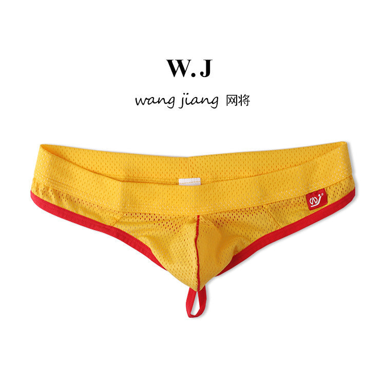 Men's Sexy Low Waist Mesh Breathable Thong