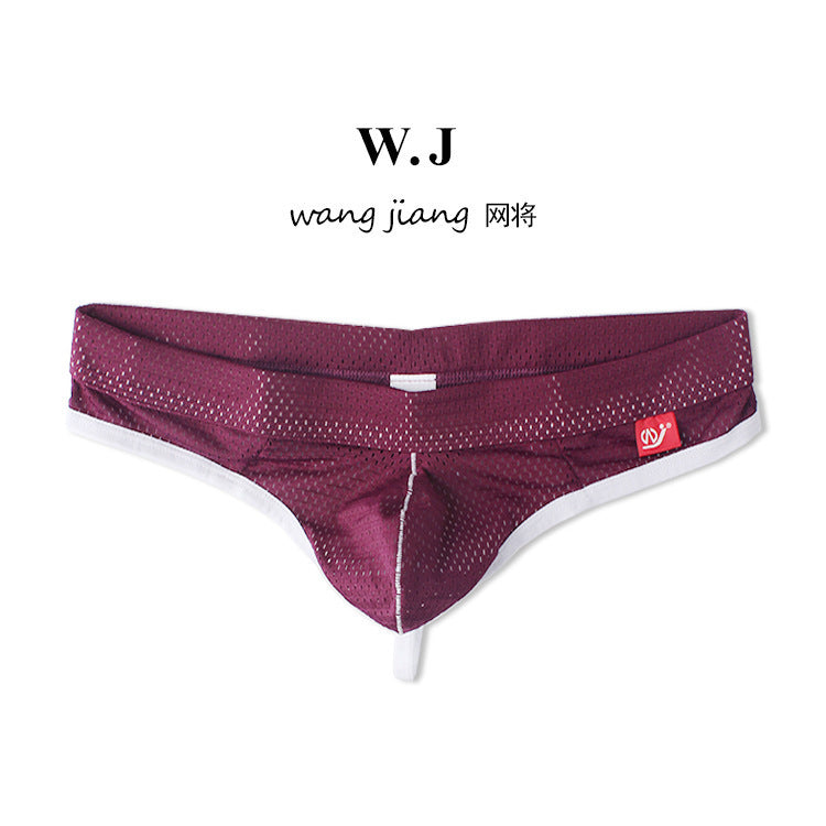 Men's Sexy Low Waist Mesh Breathable Thong