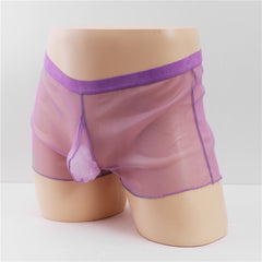 Men's Fully Transparent Mesh Sexy Underwear