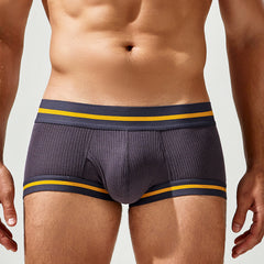 Men's Sexy Simple Comfortable Breathable Boxer Briefs
