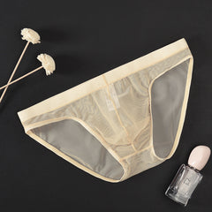 Men's Mesh Low Waist Sexy Ice Silk Briefs