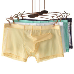 Men's Ultra Thin Mesh Transparent Sexy Trunks