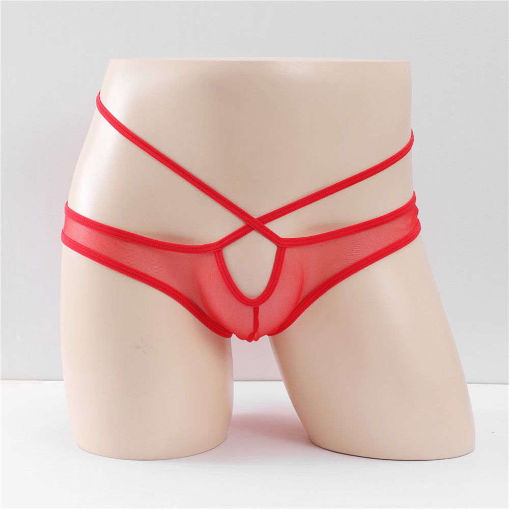 Men's Strappy Transparent Mesh Sexy Briefs