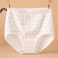 [ 5PCS ] Cotton high waist tummy control hip wrap comfortable Panties