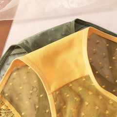 Sexy Satin Lace Mesh Briefs