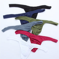 Mesh high elastic ice mesh sexy Panties