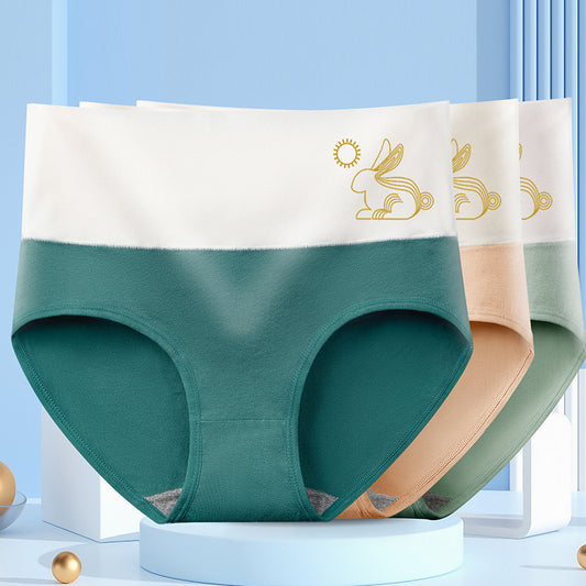 Women's Antibacterial High Waist Tummy Control Panties