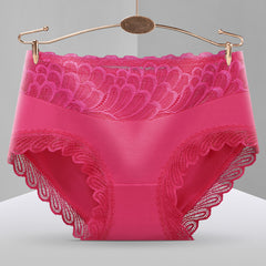 Sexy Lace Transparent Mesh Comfortable Ice Silk Briefs