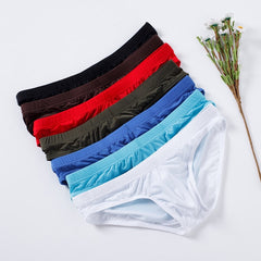 Men's Ice Silk Sexy Low-Rise Transparent High-Elastic Briefs