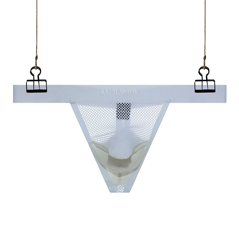 Men's Mesh See-through Sexy Thong