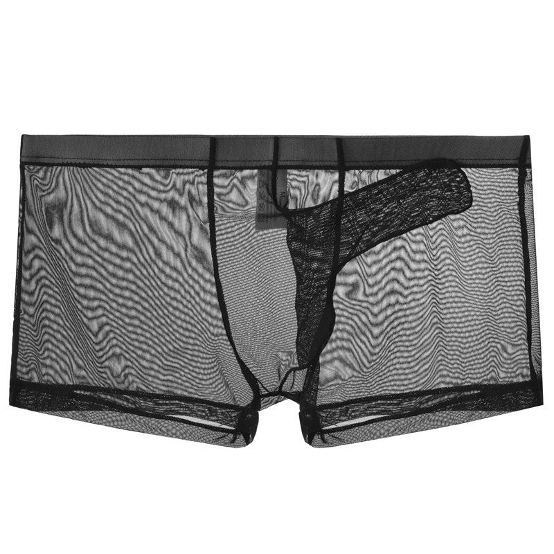 Men's Ultra Thin Mesh Transparent Sexy Trunks