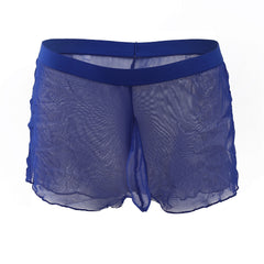 Men's Fully Transparent Mesh Sexy Underwear