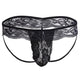 Men's Lace Sexy Panites