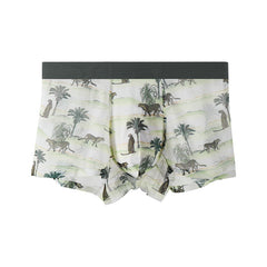 Men's Printed Mesh Sexy Breathable Seamless Panties