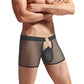 Men's New Sexy Mesh Transparent Boxer Briefs