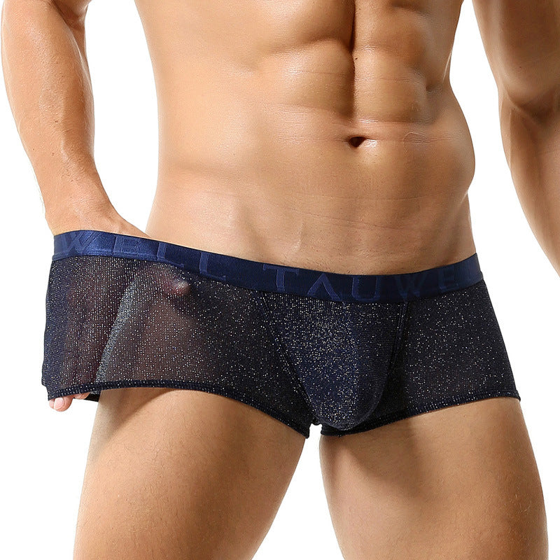 Men's New Low Waist Mesh Sexy See-through Nylon Boxer Briefs