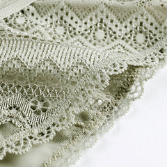 Fashionable and Sexy Lace Breathable Mesh Briefs