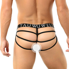 Men's Sexy Lace Mesh Transparent Briefs