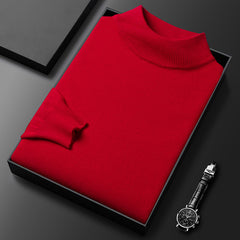 Men's Slim Fit Solid Color Half Turtle Collar Pullover Sweater