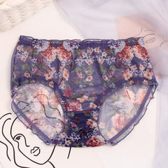 Breathable Mesh Lace Plus Size Briefs