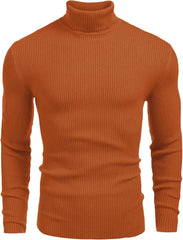 Men's Stylish Striped Turtleneck Sweater