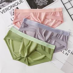 Men's Ultra-thin Ice Silk Mesh Breathable Quick-drying Transparent Sexy Briefs