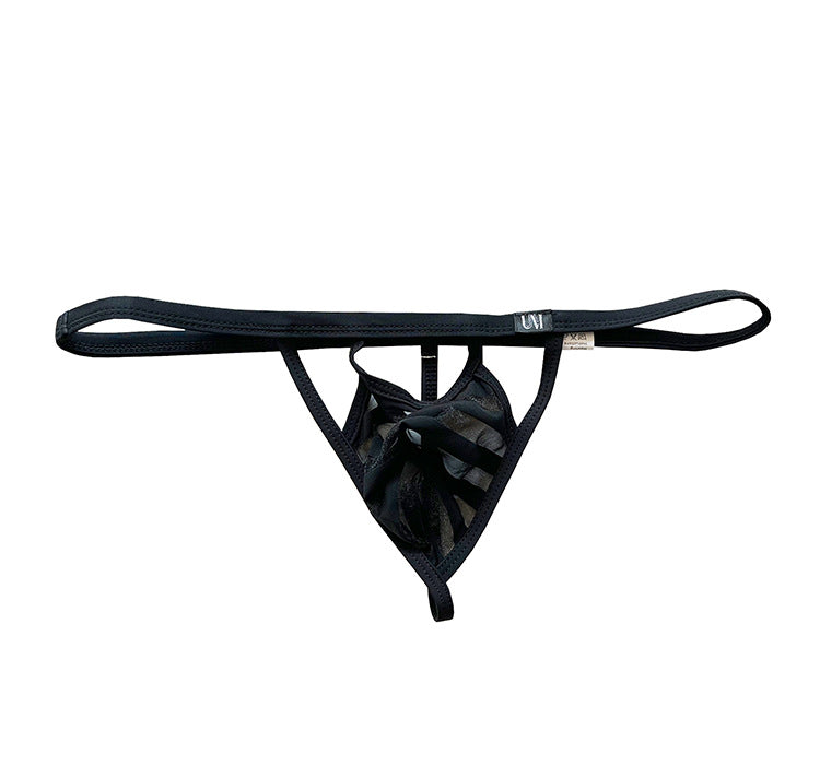 Men's Low-waist Mesh Transparent Sexy Thong