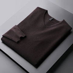 Men's Warm V-Neck Sweater