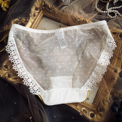 Sexy Lace Mesh Soft, Comfortable and Fashionable Low-waist Briefs