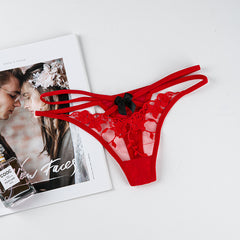 Sexy Transparent Mesh Embroidered Lace Low Rise Thong