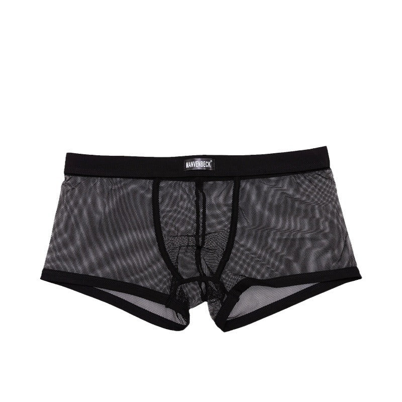 Men's Transparent Mesh Low Waist Sexy Boxer Briefs