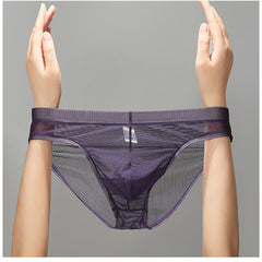 Men's Ultra-thin Mesh Sexy Transparent Ice Silk Briefs
