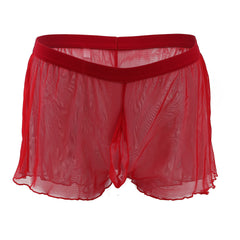 Men's Fully Transparent Mesh Sexy Underwear