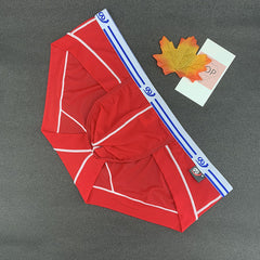 Men's Low Waist Breathable Ice Silk Sexy Fashion Stretch Briefs