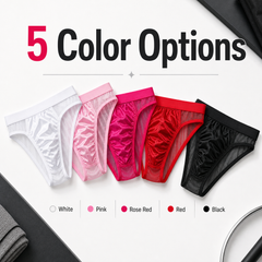 Men's Sexy Low Rise Mesh Bikini Briefs