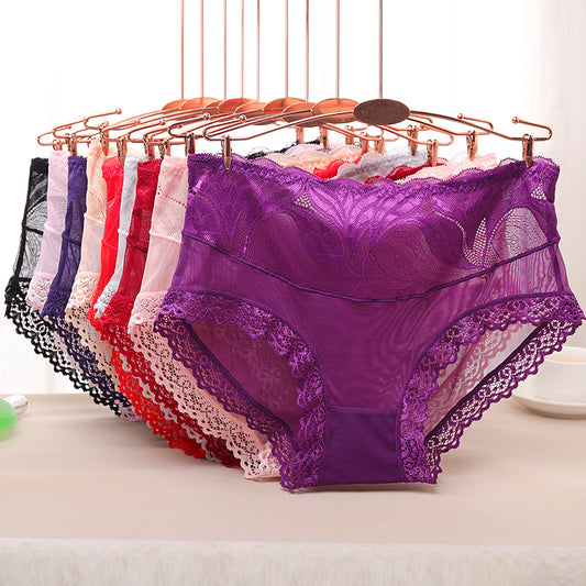 Pure Cotton High Stretch Lace Briefs