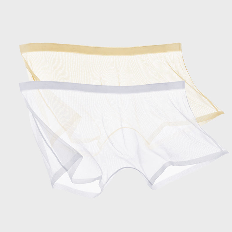 Ice Silk Sexy Mesh Full Transparent Boxer Shorts - Men's Fashion