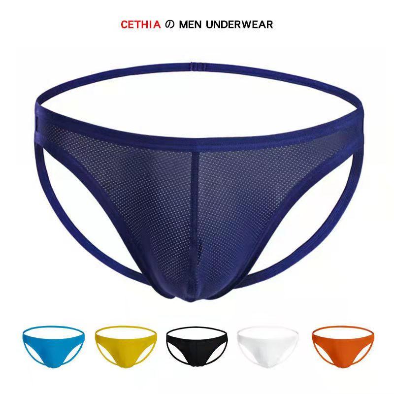 Sexy Transparent Hollow Mesh Panties