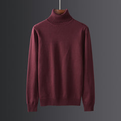 Men's Winter Warm Thick Turtleneck Sweater