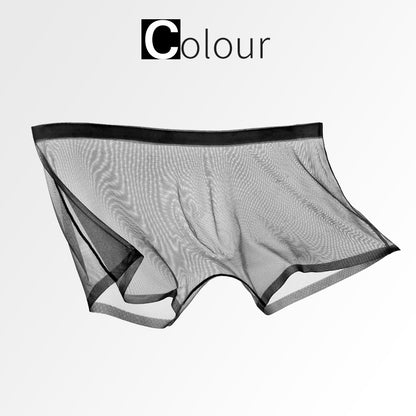 Ice Silk Sexy Mesh Full Transparent Boxer Shorts - Men's Fashion