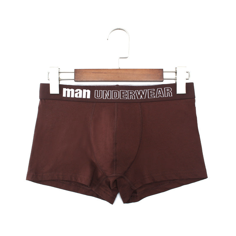 【4 PCS】Men's Cotton Comfort Plus Size Boxer Underwear