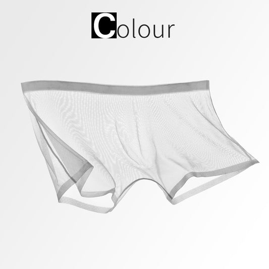 Ice Silk Sexy Mesh Full Transparent Boxer Shorts - Men's Fashion